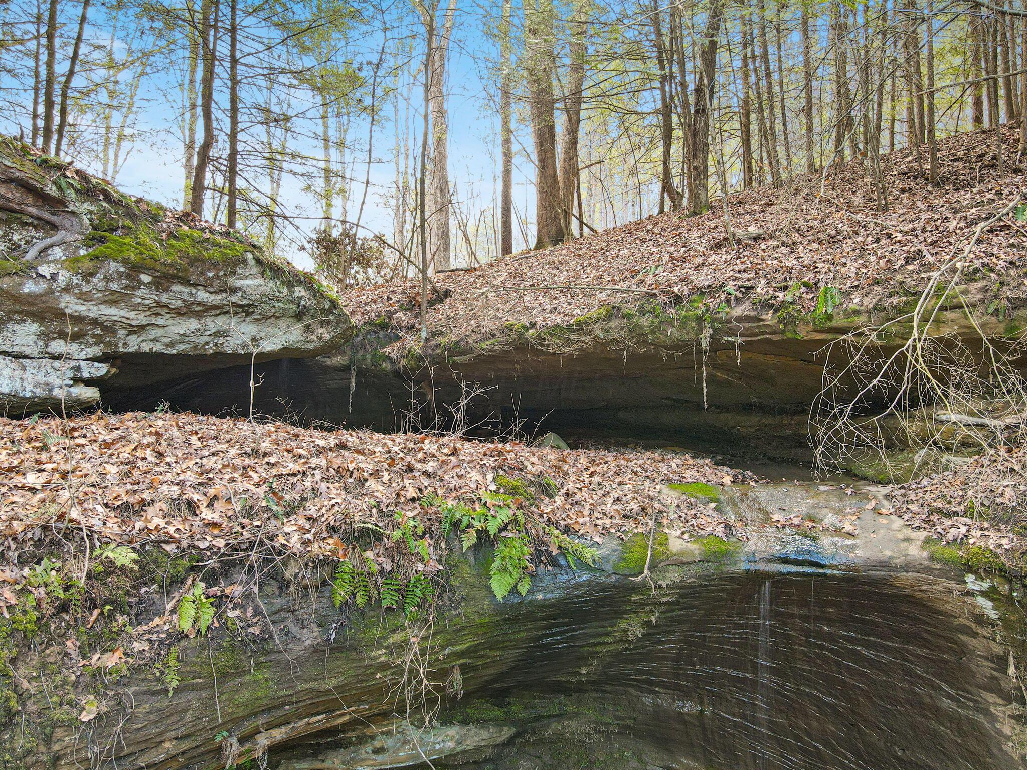 9385 Rich Hollow Road Southwest Lancaster, OH 43130 - Photo 118 of 146 77-web-or-mls-DJI_0701