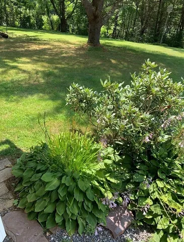 $365,000 | 1451 Route 2, Charlemont, MA 01339