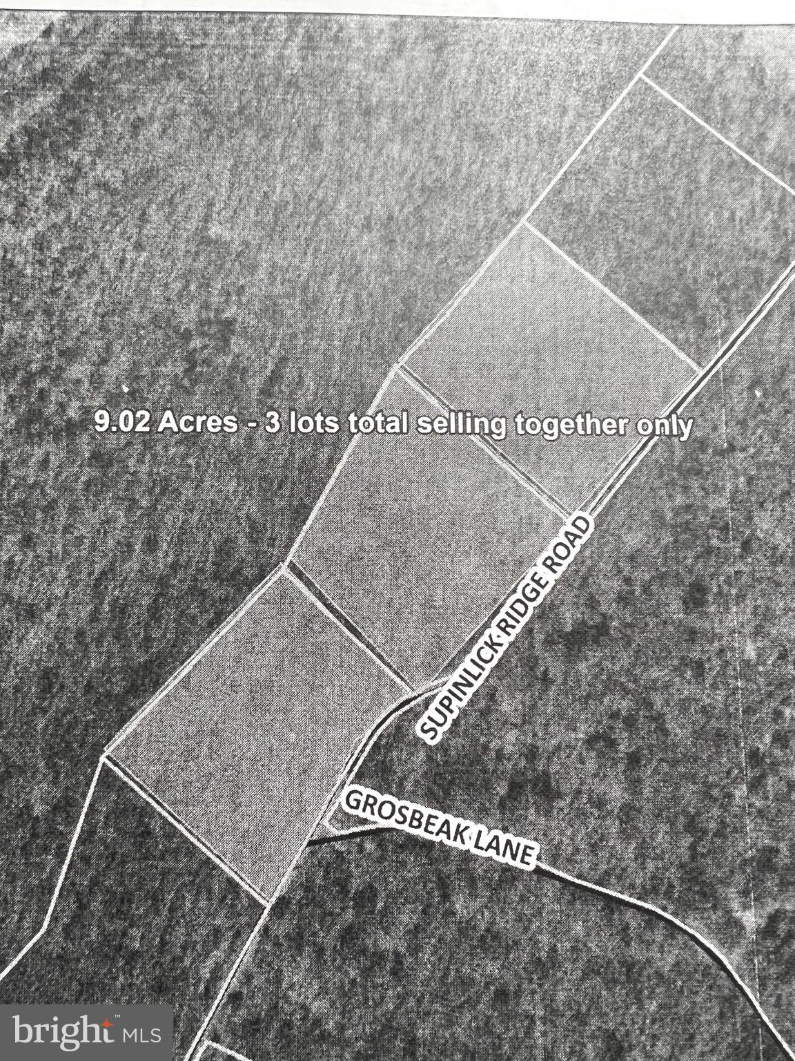 Lots 4.5-6 Lots 4.5-6 Supinlick Ridge Rd Mount Mount Jackson, VA 22842 - Photo 1 of 2