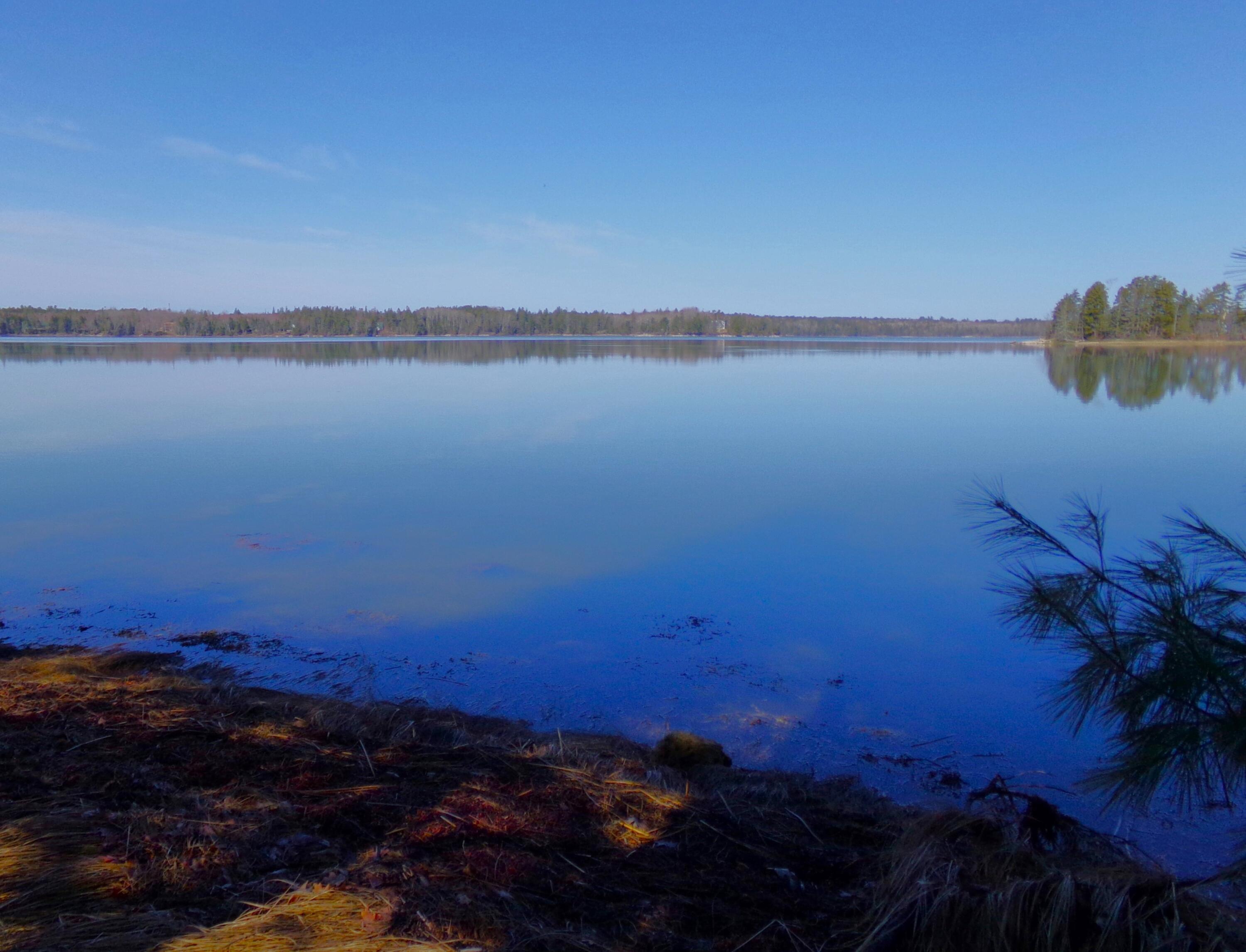 Lot 3 Rogers Point Road Steuben, ME 04680 - Photo 11 of 12