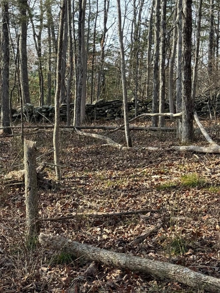 0 Hunting House Road Glocester, RI 02857 - Photo 11 of 12