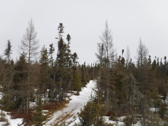 On Koth Road Tomahawk, WI 54487 - Photo 6 of 9 Gallery Image 6