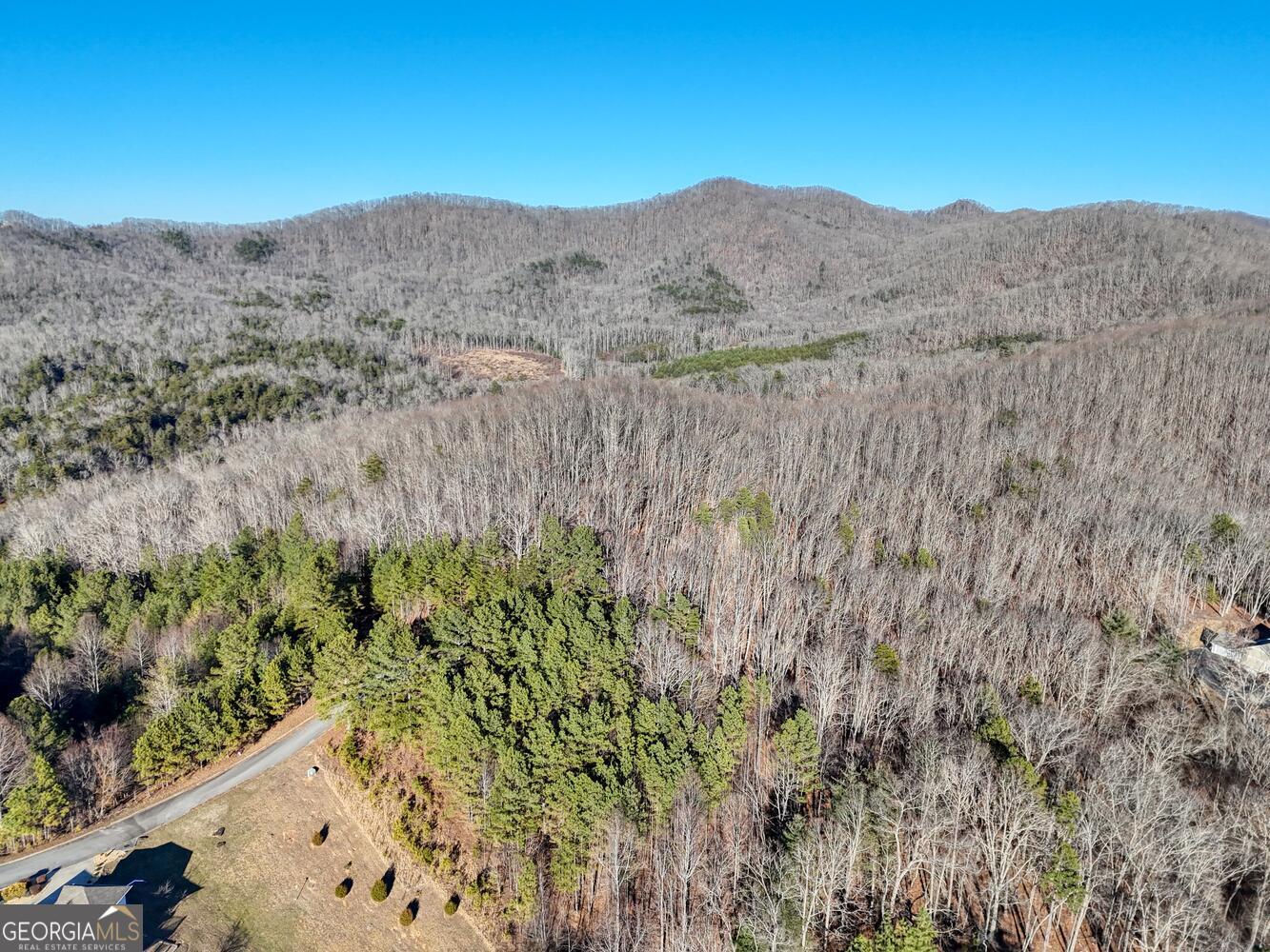 26 Sunset View Blairsville, GA 30512 - Photo 11 of 18 a view of a lush green field with a mountain in the background