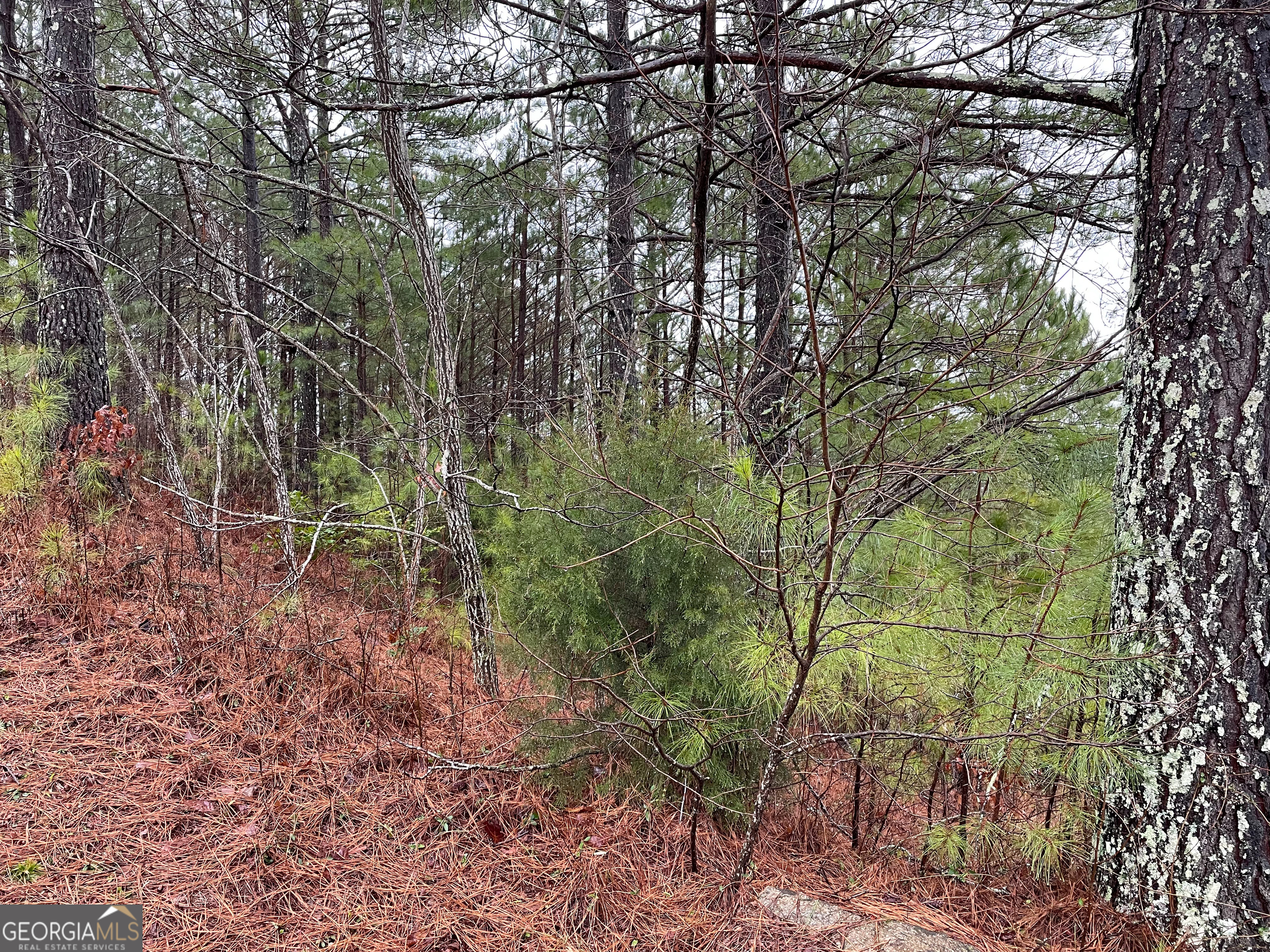 26 Sunset View Blairsville, GA 30512 - Photo 18 of 18