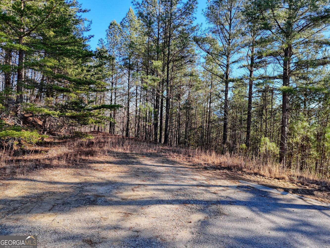 26 Sunset View Blairsville, GA 30512 - Photo 3 of 18 a view of street along with trees