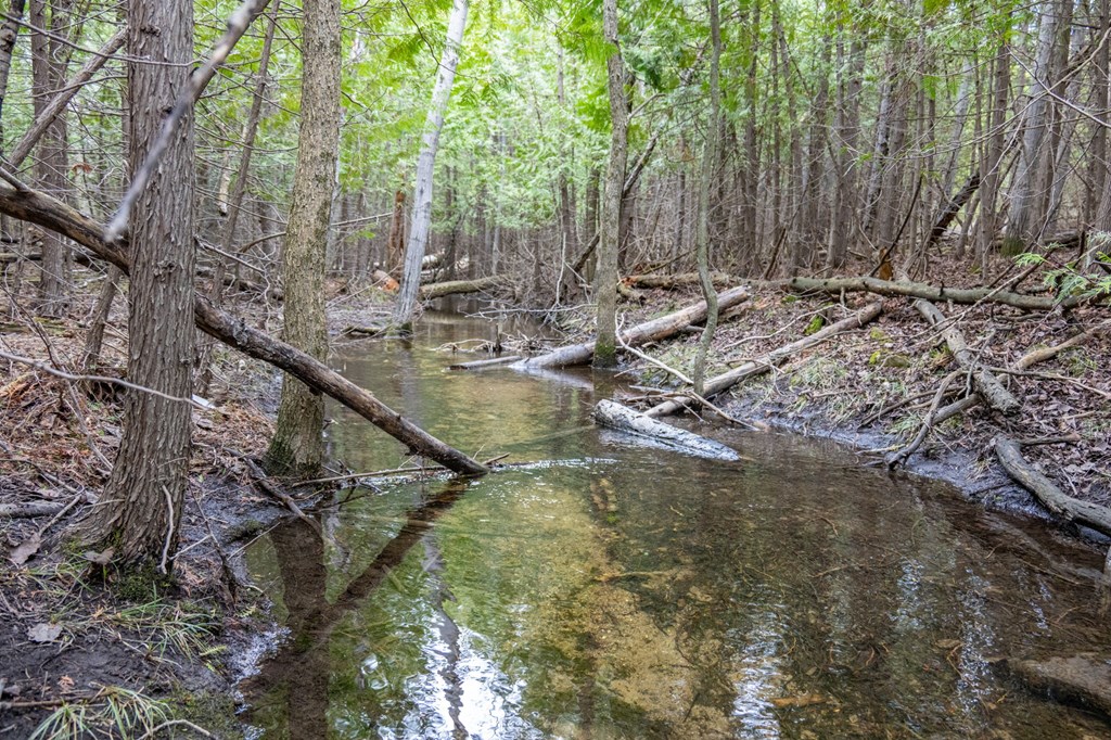 Lot 2 Hill Road Sister Bay, WI 54234 - Photo 6 of 35
