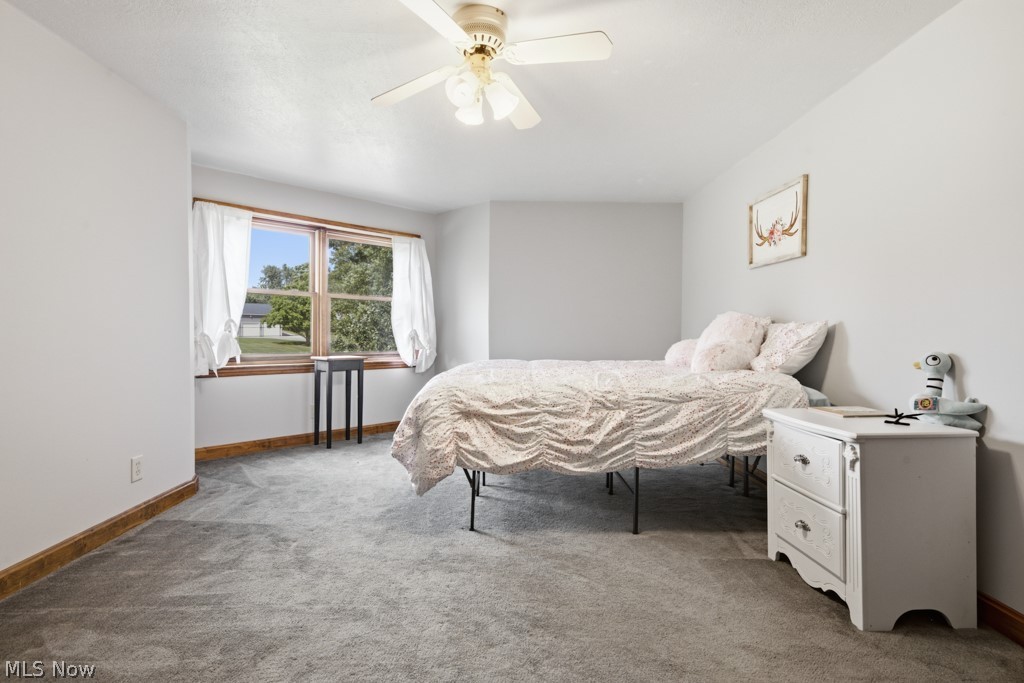 22791 Buck Road Alliance, OH 44601 - Photo 41 of 50 Gallery Image 41
