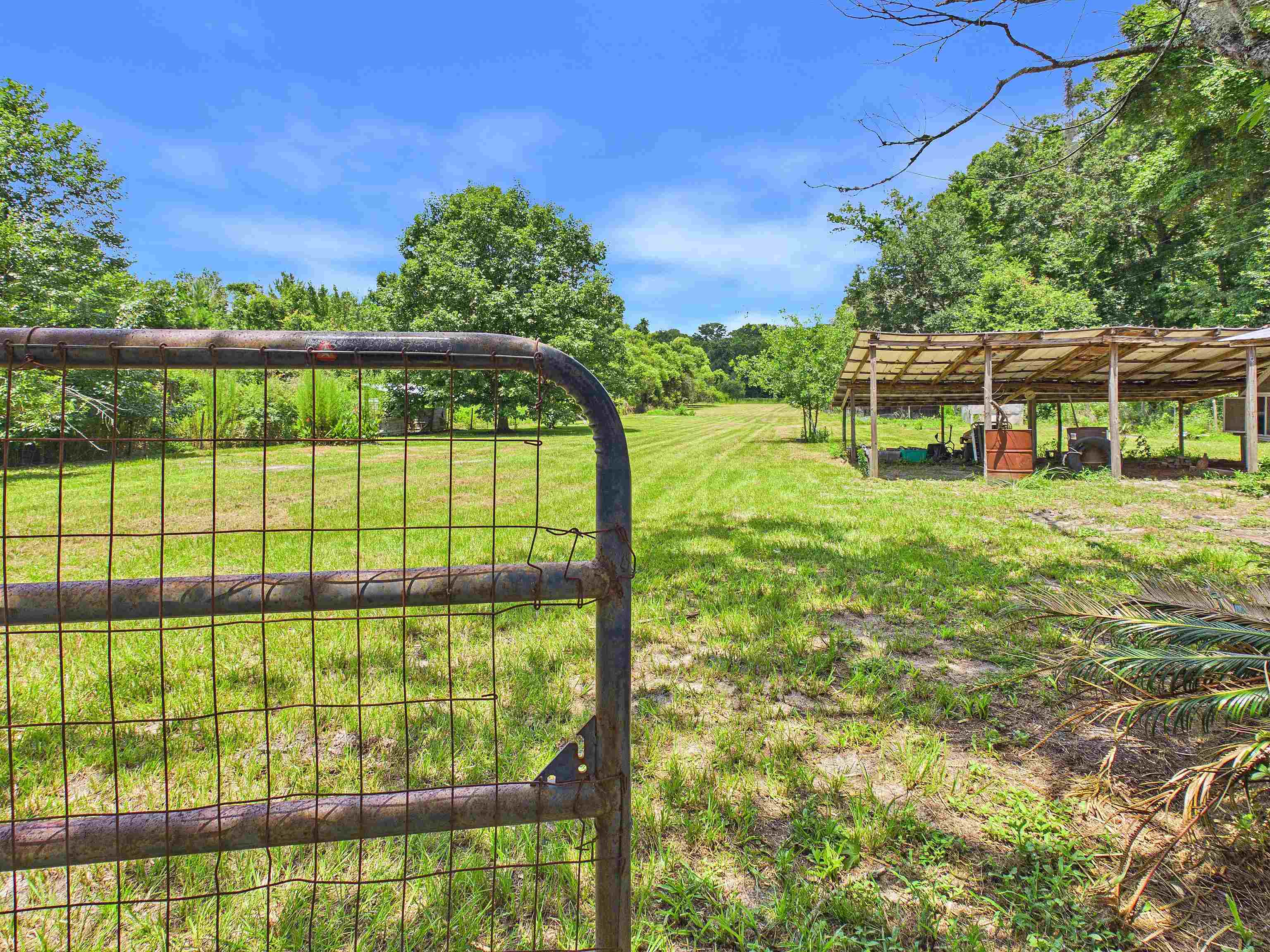 304 Limestone Road Monticello, FL 32344 - Photo 10 of 70