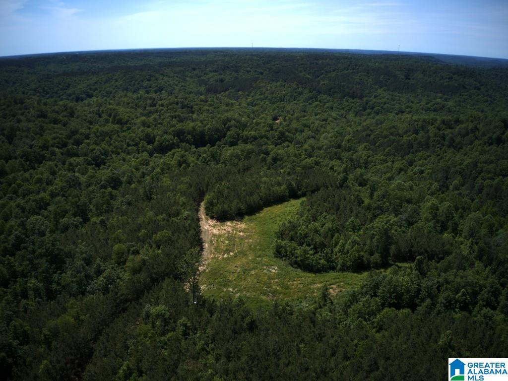 46 County Rd Creek, Unit PEWTERFORK Hanceville, AL 35077 - Photo 1 of 13