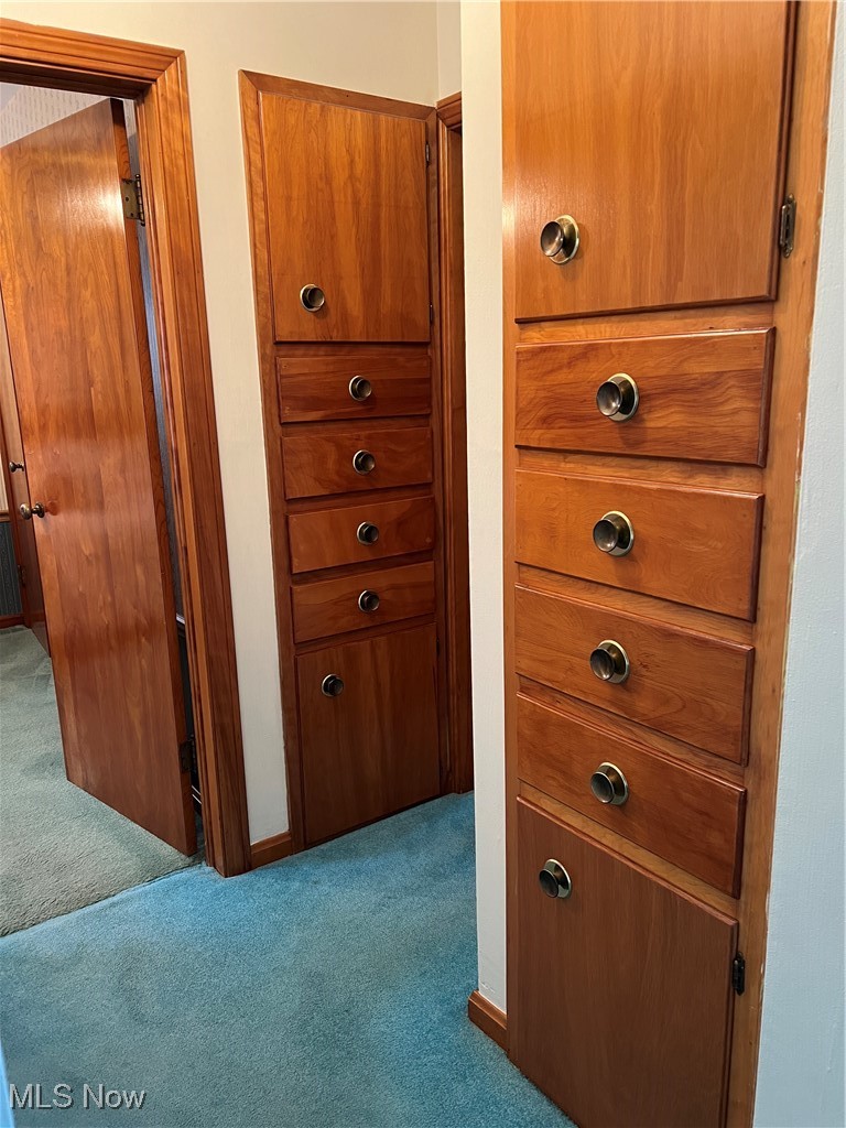 5638 South Ridge Road East Ashtabula, OH 44004 - Photo 27 of 45 Hall built-ins