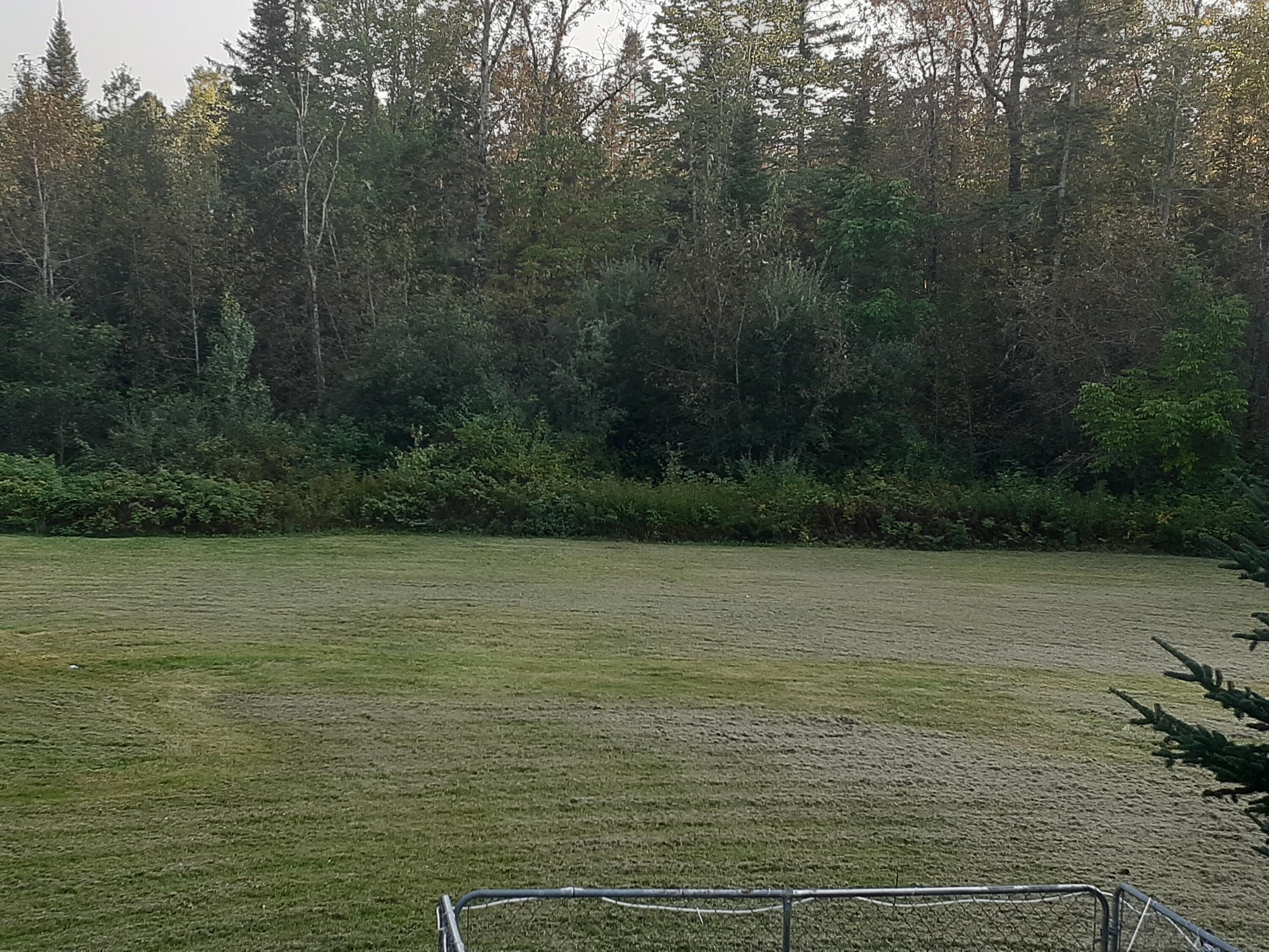 1155 Silvers Mills Road Sangerville, ME 04479 - Photo 59 of 63 Back lawn