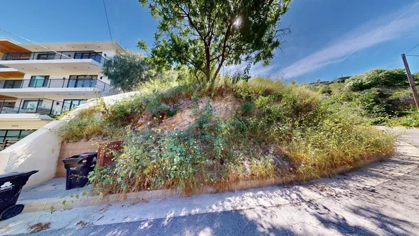 a view of backyard with green space