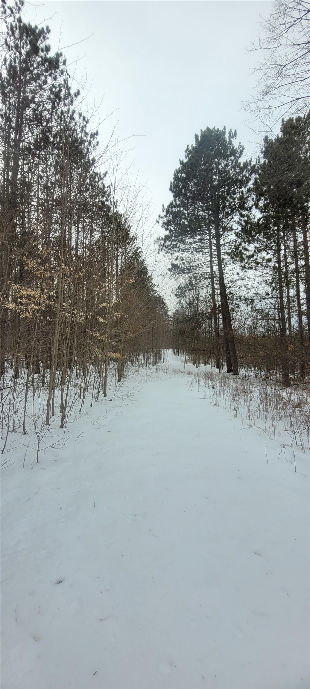 Tba Fife Lake Road Fife Lake, MI 49633 - Photo 22 of 39 Gallery Image 22