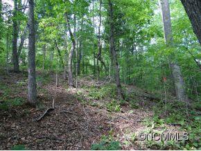 368 Winnies Road Bostic, NC 28018 - Photo 12 of 15 a view of a forest with trees in the background