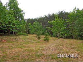 368 Winnies Road Bostic, NC 28018 - Photo 10 of 15 a view of a yard with trees