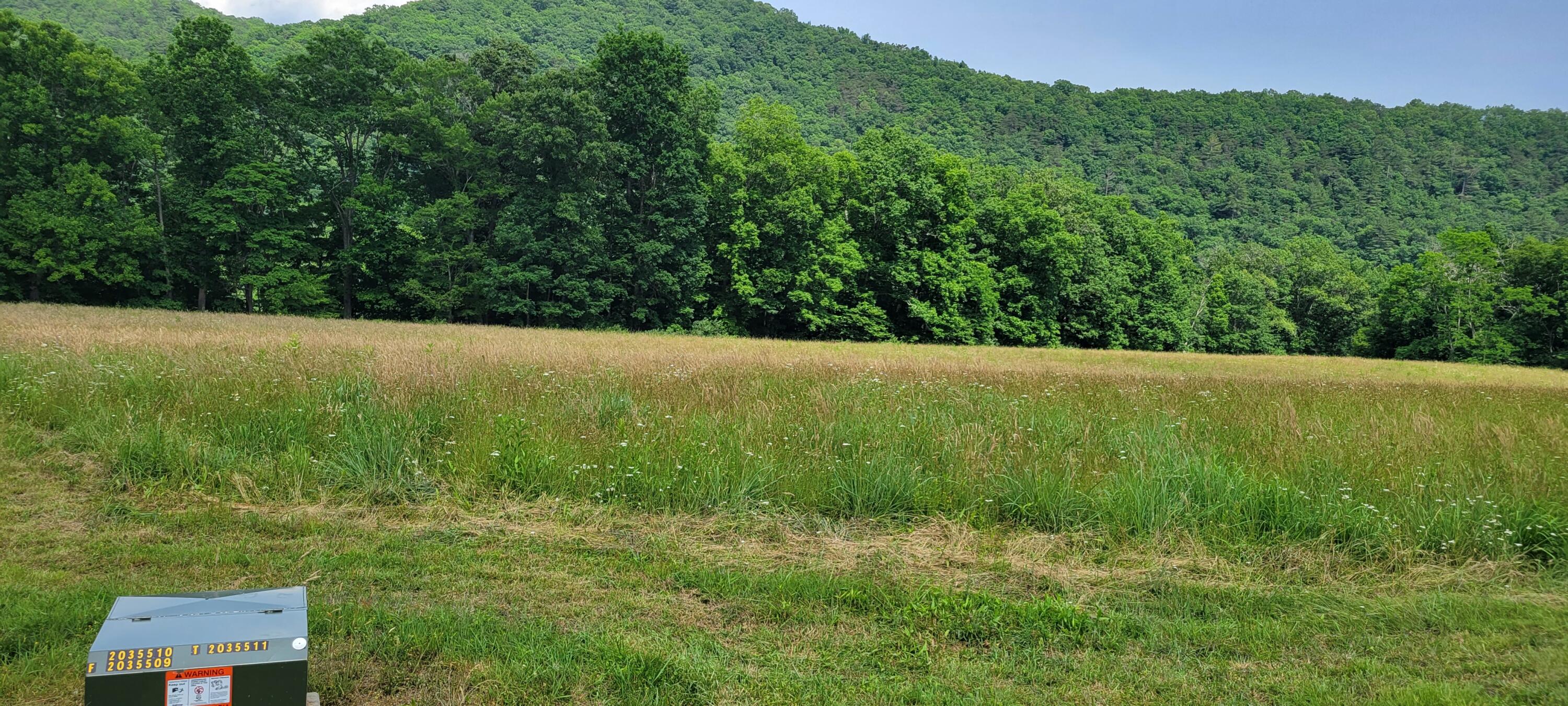 Lot 3 Spice Run Road Hillsboro, WV 24946 - Photo 6 of 15 Gallery Image 6
