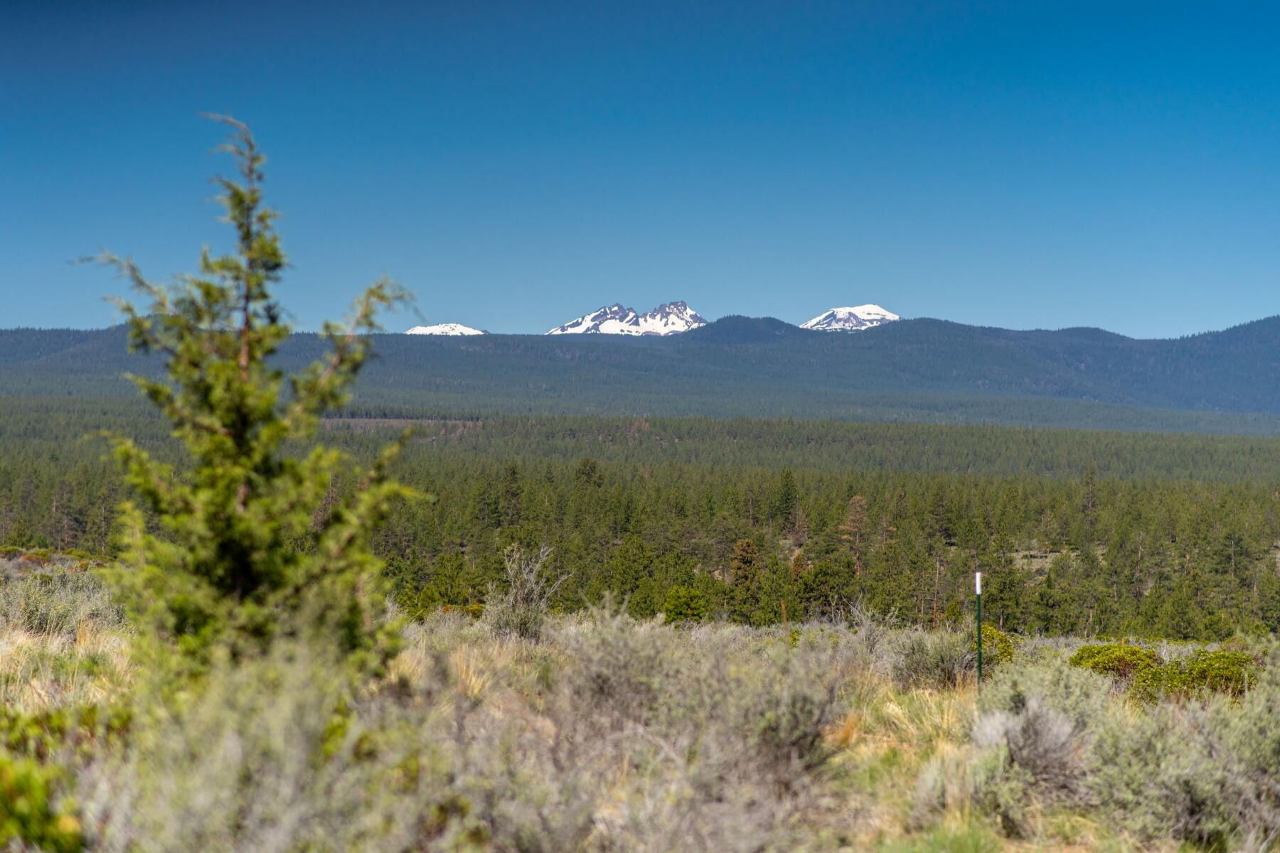62485 Huntsman Loop Bend Bend, OR 97703 - Photo 8 of 32 batch_8
