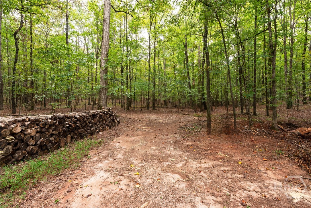 4072 Lebanon Church Road Athens, GA 30607 - Photo 54 of 75