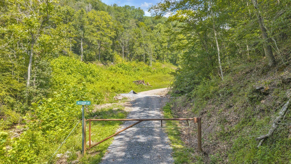 0 Wingfield Mountain Road Sandstone, WV 25985 - Photo 9 of 18 Gallery Image 9