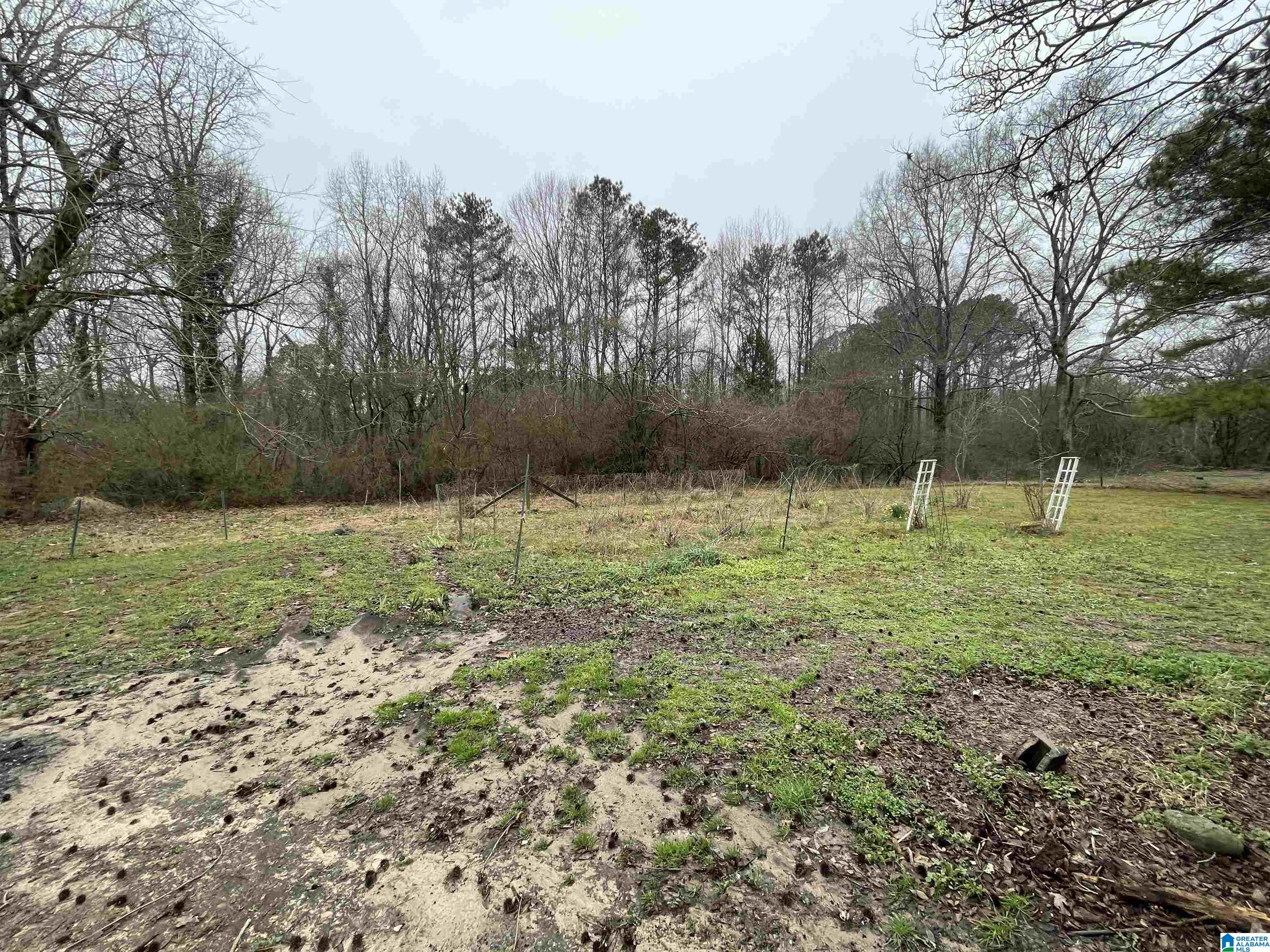 9422 Wilson Road Dora, AL 35062 - Photo 28 of 31 Gallery Image 28