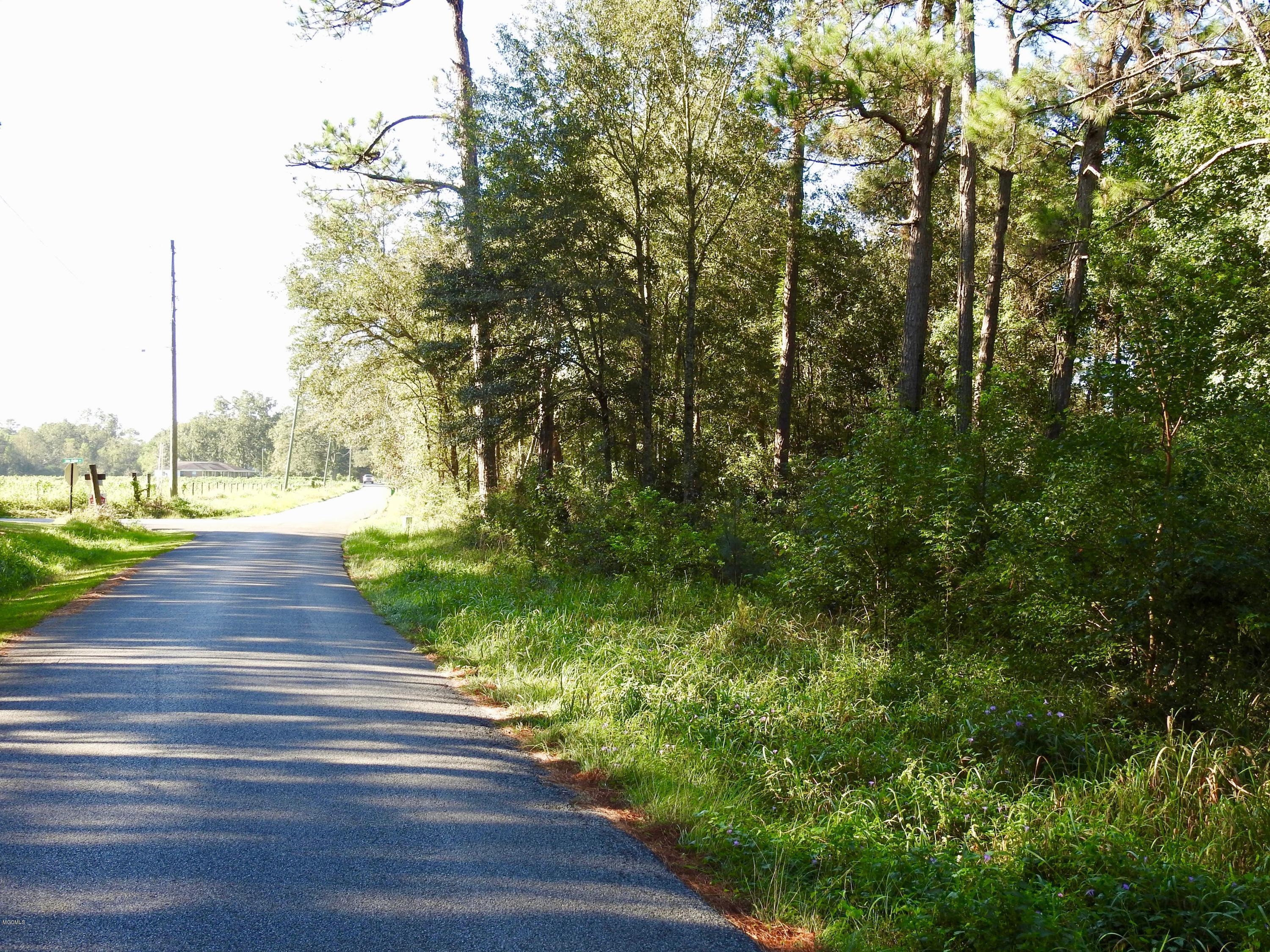 12 Coleman Homestead Road Moss Point, MS 39562 - Photo 5 of 13 DSCN0029