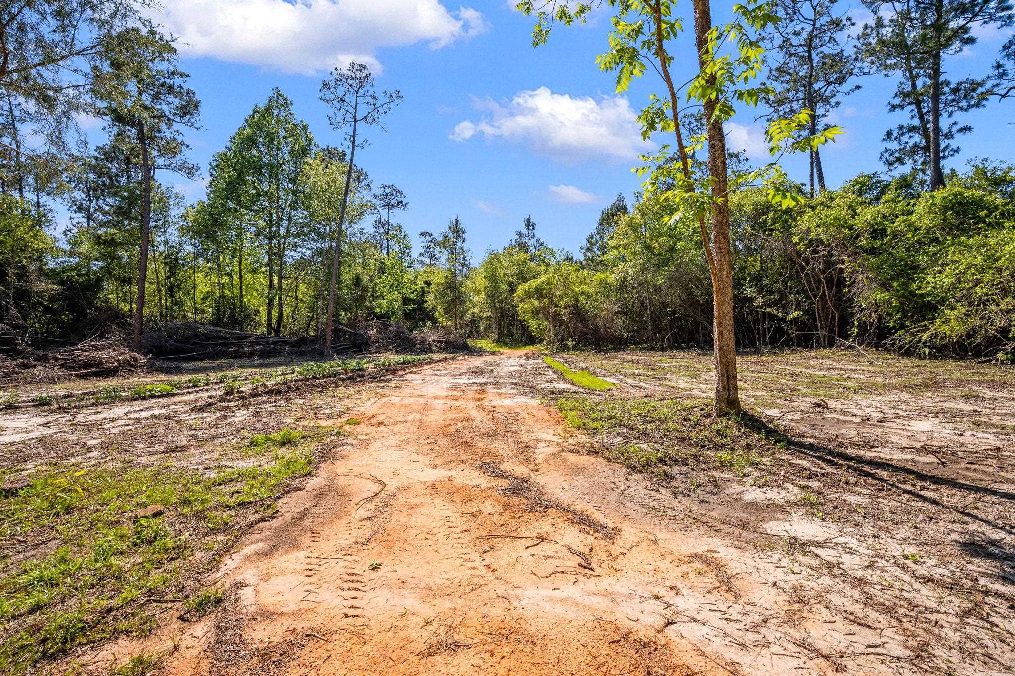53582 Modelle Bryars Road Perdido, AL 36562 - Photo 16 of 30