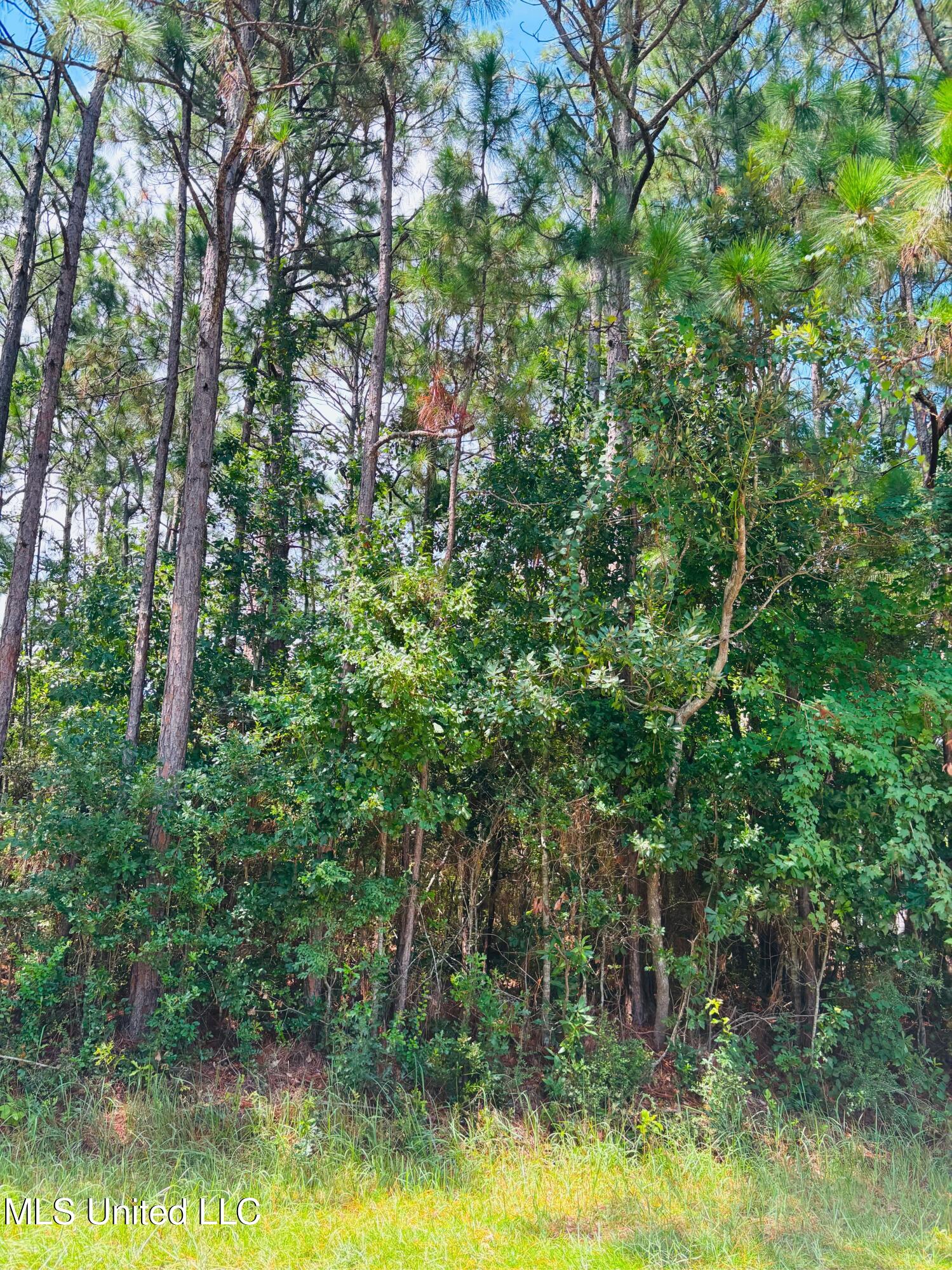 Grouper Road Gautier, MS 39553 - Photo 1 of 3 IMG_2608 2.pdf