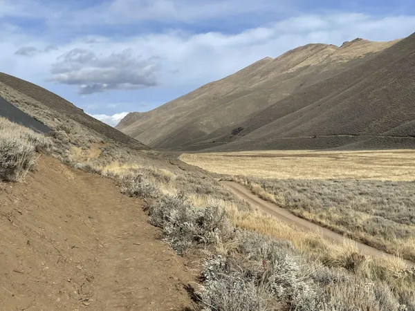 $220,000 | 602 Rosewood Drive, Bellevue, ID 83313