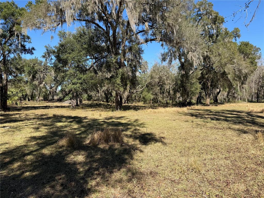 18630 Bradshaw Road Dade City, FL 33523 - Photo 19 of 43