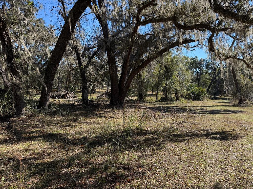 18630 Bradshaw Road Dade City, FL 33523 - Photo 24 of 43