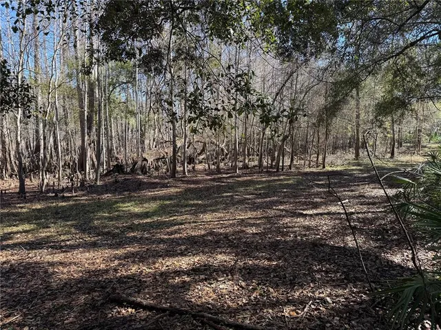 $299,000 | 18630 Bradshaw Road, Dade City, FL 33523