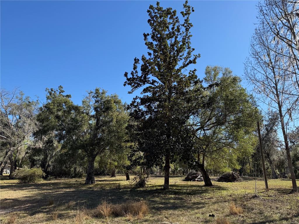 18630 Bradshaw Road Dade City, FL 33523 - Photo 42 of 43