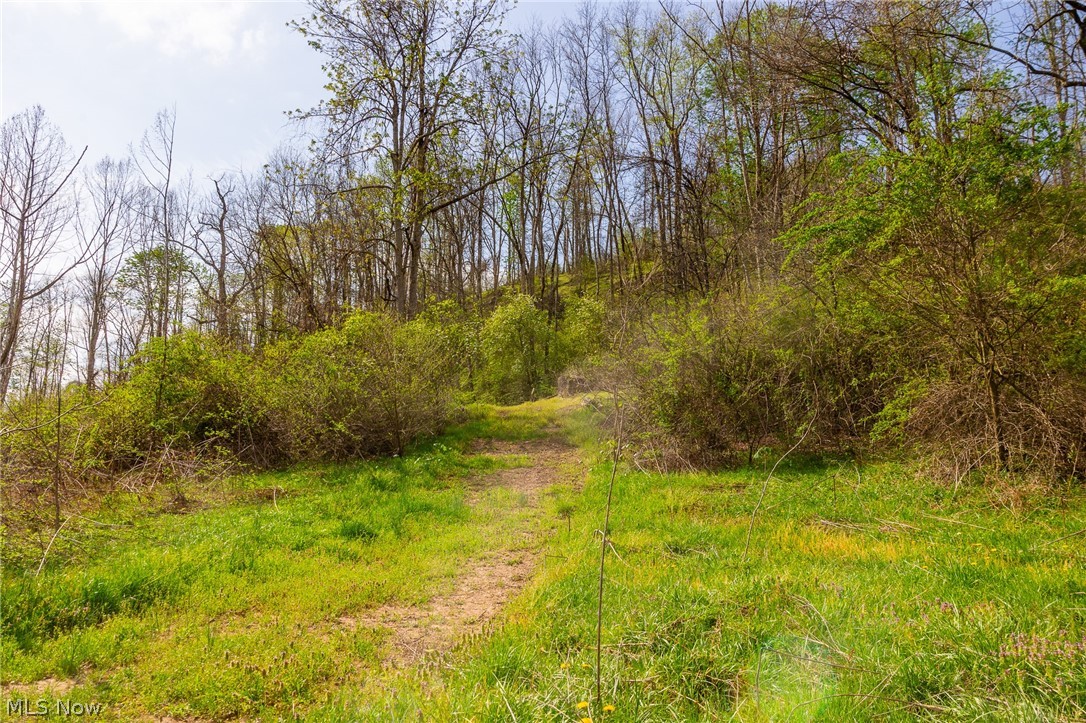 0 Twp Road, Unit 3 Whipple, OH 45788 - Photo 8 of 11