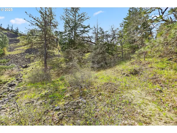 a view of a city with lush green forest