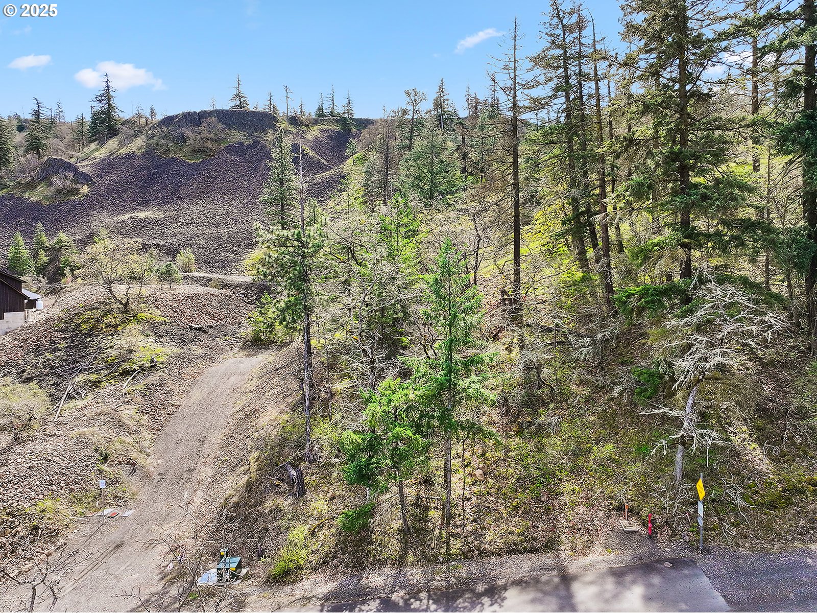 Asher Street, Unit 37 Mosier, OR 97040 - Photo 12 of 39 a view of a city with lush green forest