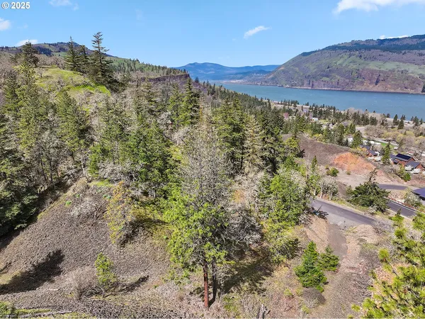 a view of an ocean beach