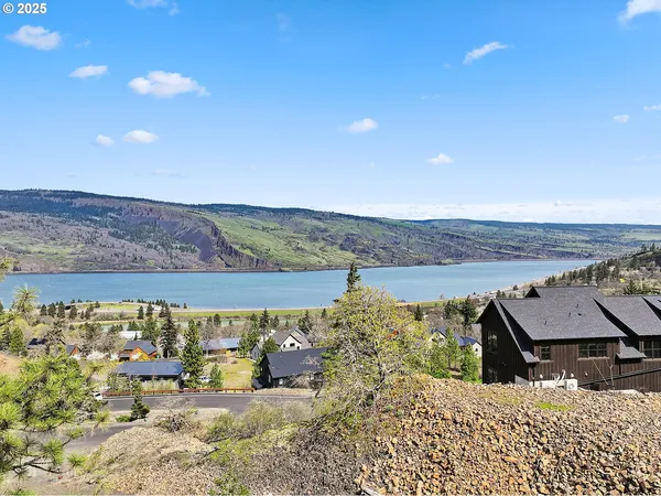 a view of a couches with potted plants