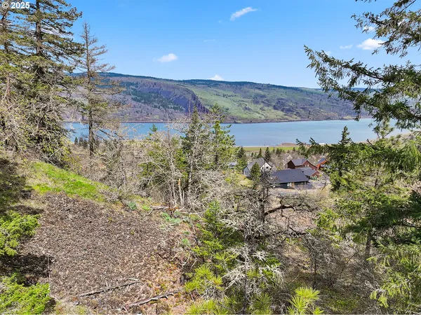 a view of a city with mountains in the background