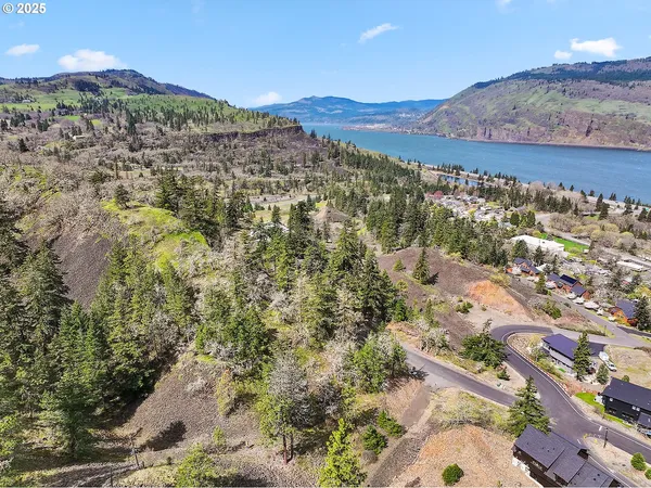 a view of a yard with plants and trees