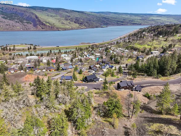 a flag is sitting in the middle of forest