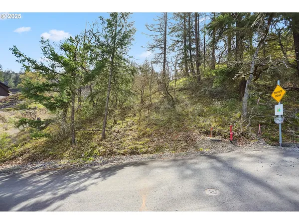 a view of outdoor space and trees