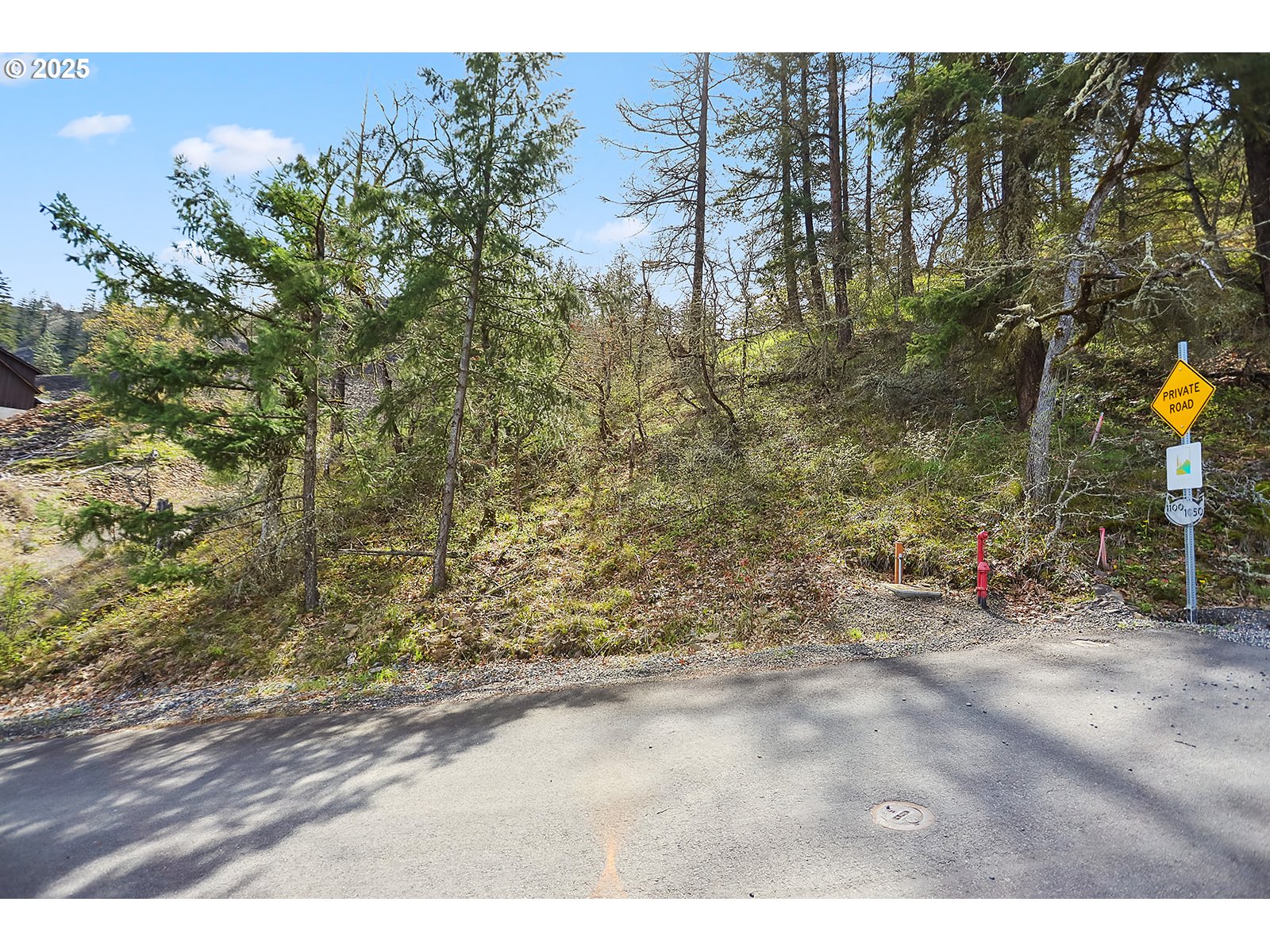 Asher Street, Unit 37 Mosier, OR 97040 - Photo 3 of 39 a view of outdoor space and trees