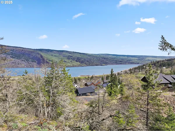 a view of a yard with a tree