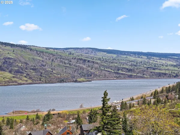 a view of a forest with trees