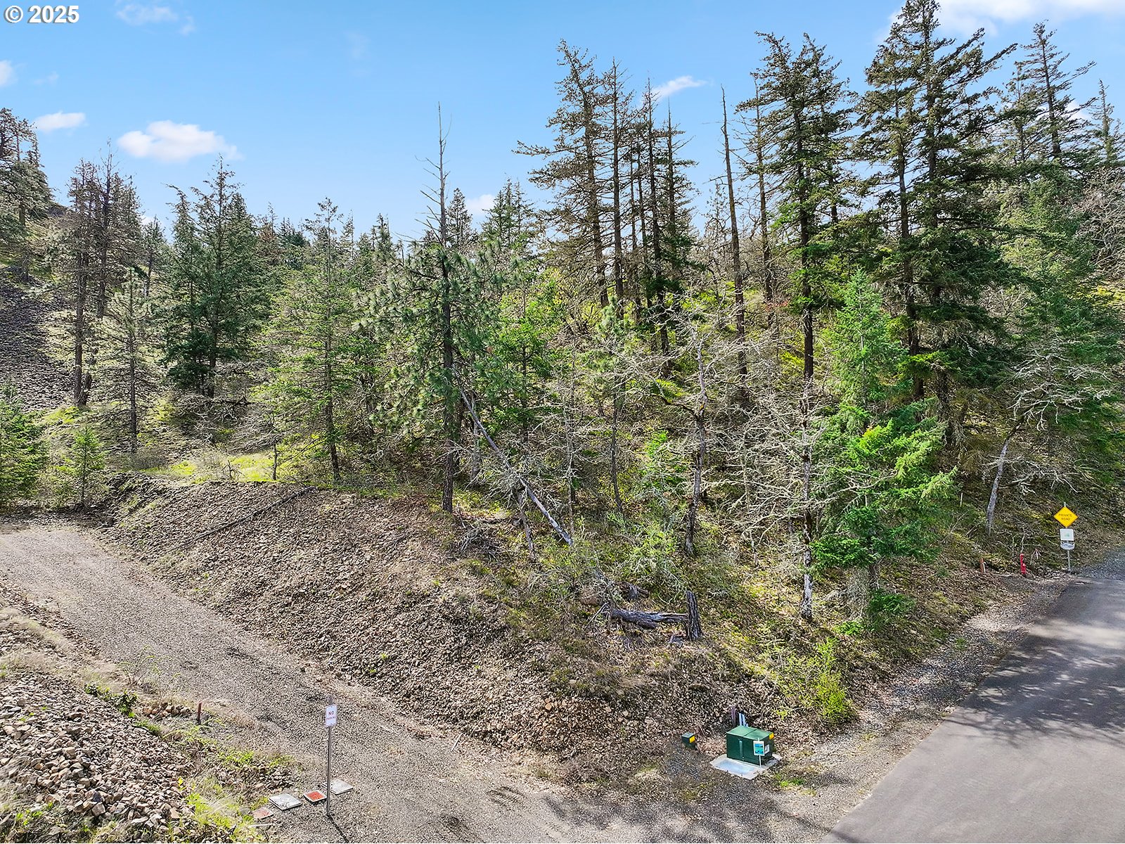 Asher Street, Unit 37 Mosier, OR 97040 - Photo 39 of 39 a view of a forest with trees