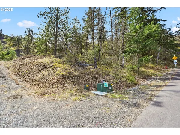 a view of outdoor space with trees all around