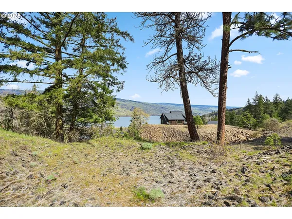 a view of a backyard of a house