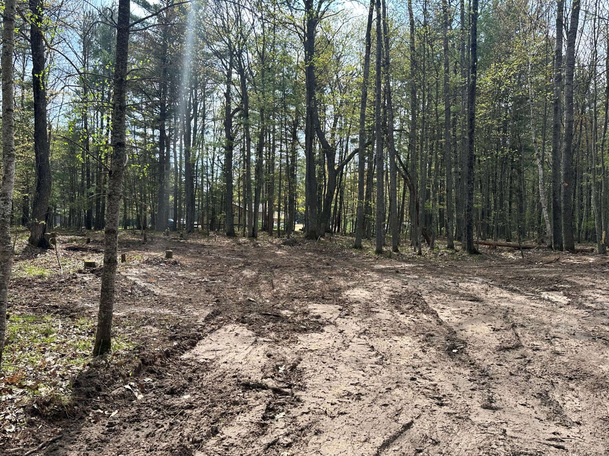 Lot 3 Pine Breeze Way Rhinelander, WI 54501 - Photo 7 of 14 Gallery Image 7
