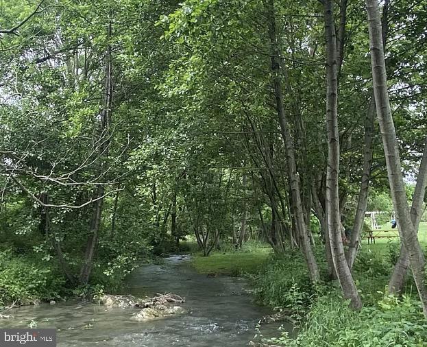 678 Integrity Drive Lititz, PA 17543 - Photo 44 of 51 a view of a forest filled with trees