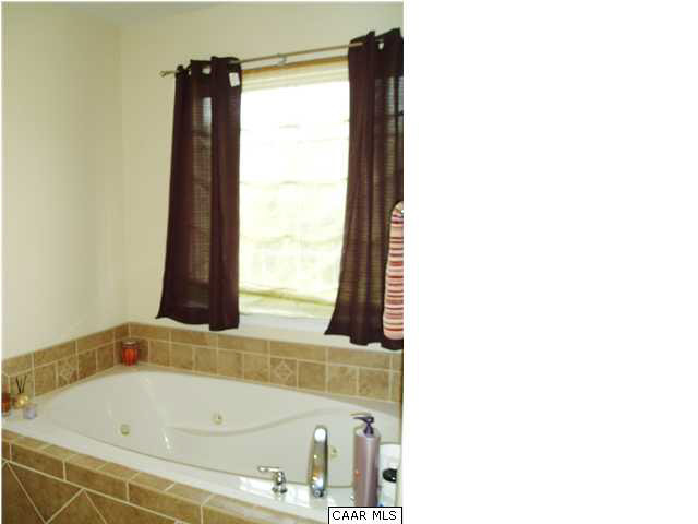 134 Devon Drive Ruckersville, VA 22968 - Photo 20 of 28 Jetted Tub In Master Bath